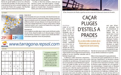 Caçar pluges d’estels a Prades